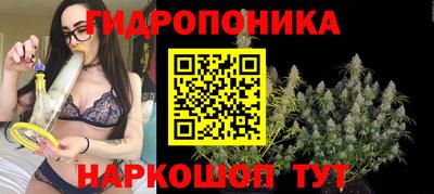 прущие крисы Туймазы