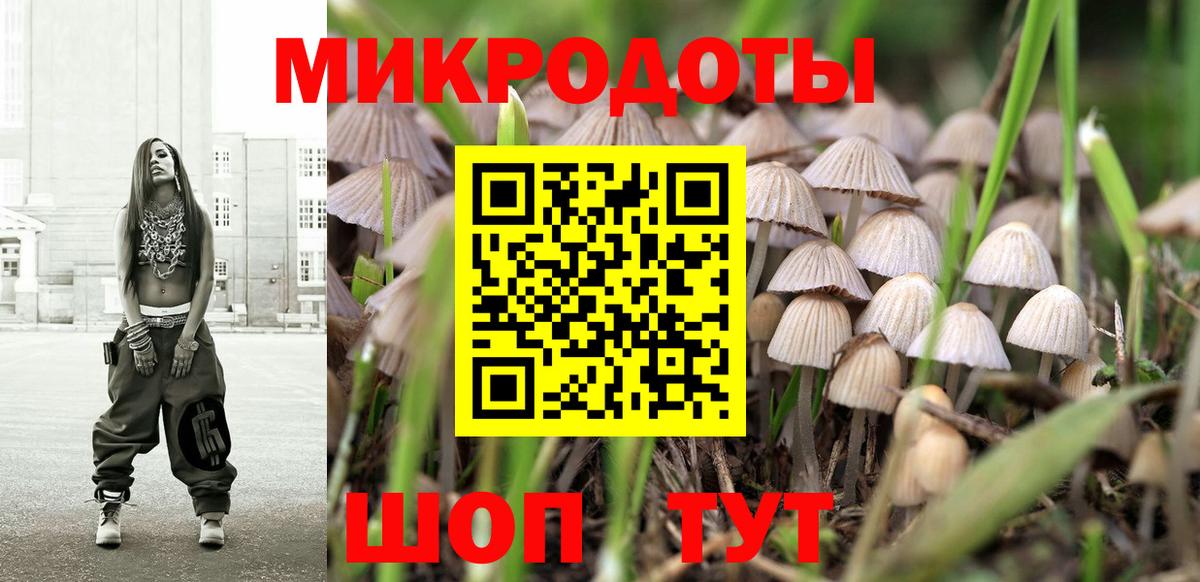 Псилоцибиновые грибы мухоморы  где можно купить наркотик  Вход с VPN  Мыски  Псилоцибиновые грибы Psilocybe 